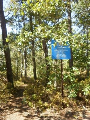 Path to the cemetery is to the left of the marker image. Click for full size.