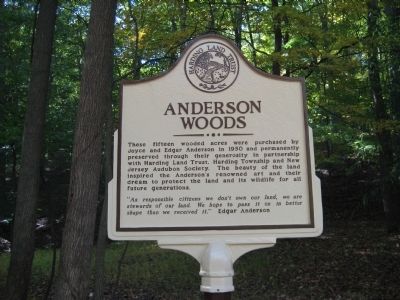 Anderson Woods Marker image. Click for full size.