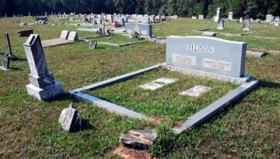 Miles and Deborah Johnson Ellison Plot image. Click for full size.
