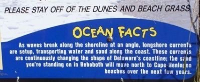 City of Rehoboth Beach Ocean Facts image. Click for full size.