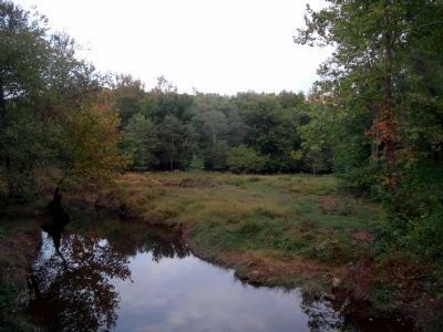 Facing the Union position across Beaver Dam Creek. image. Click for full size.
