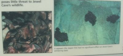 Jasper vs. Jewel Marker image. Click for full size.