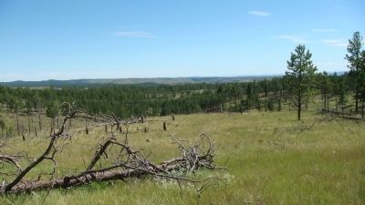 View from Behind the Jasper Fire Marker. Click for full size. View from Behind the Jasper Fire Marker image. Click for full size.