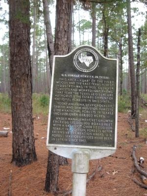 U.S. Forest Service in Texas Marker image. Click for full size.