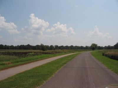 Federal Rear image. Click for full size.