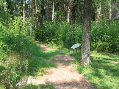 The Fight for the Cedars Marker image. Click for full size.