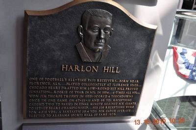 Harlon Hill Plaque -Birmingham at Sports Hall of Fame. image. Click for full size.