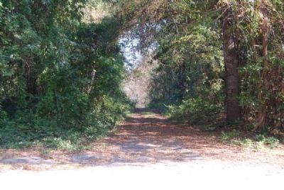 Entrance to Patrick Calhoun Burial Grounds -<br>Located on SC Highway 823 image. Click for full size.