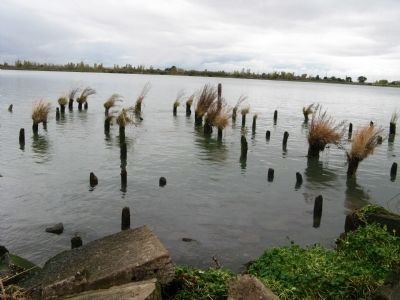 Pier Piling Ruins in the San Joaquin River at Smith's Landing image. Click for full size.