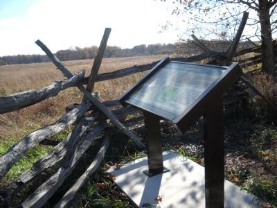 Marker on the Monmouth Battlefield. Click for full size. Marker on the Monmouth Battlefield image. Click for full size.