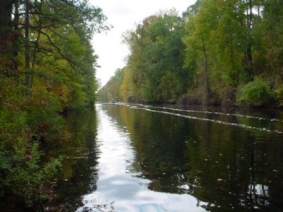 Dismal Swamp Canal. Click for full size. Dismal Swamp Canal image. Click for full size.