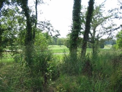 Field of Fire Today image. Click for full size.