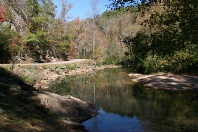 Turkey Creek Nature Preserve image. Click for full size.