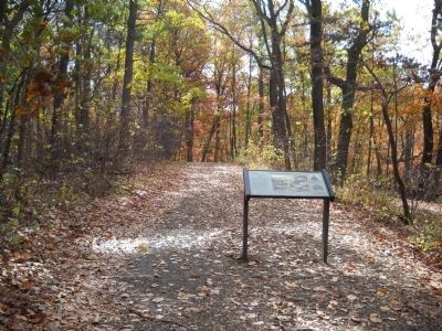 The Tenacious 20th Maine Marker image. Click for full size.