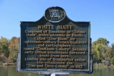White Bluff Marker image. Click for full size.