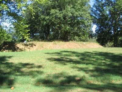 Section of the Inner Fort Wall image. Click for full size.