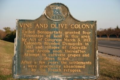 Vine And Olive Colony Marker image. Click for full size.