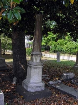 The Grave of George W. Dargan (1802-1859) image. Click for full size.