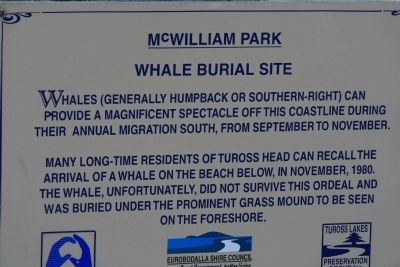 McWilliam Park Whale Burial Site Marker image. Click for full size.