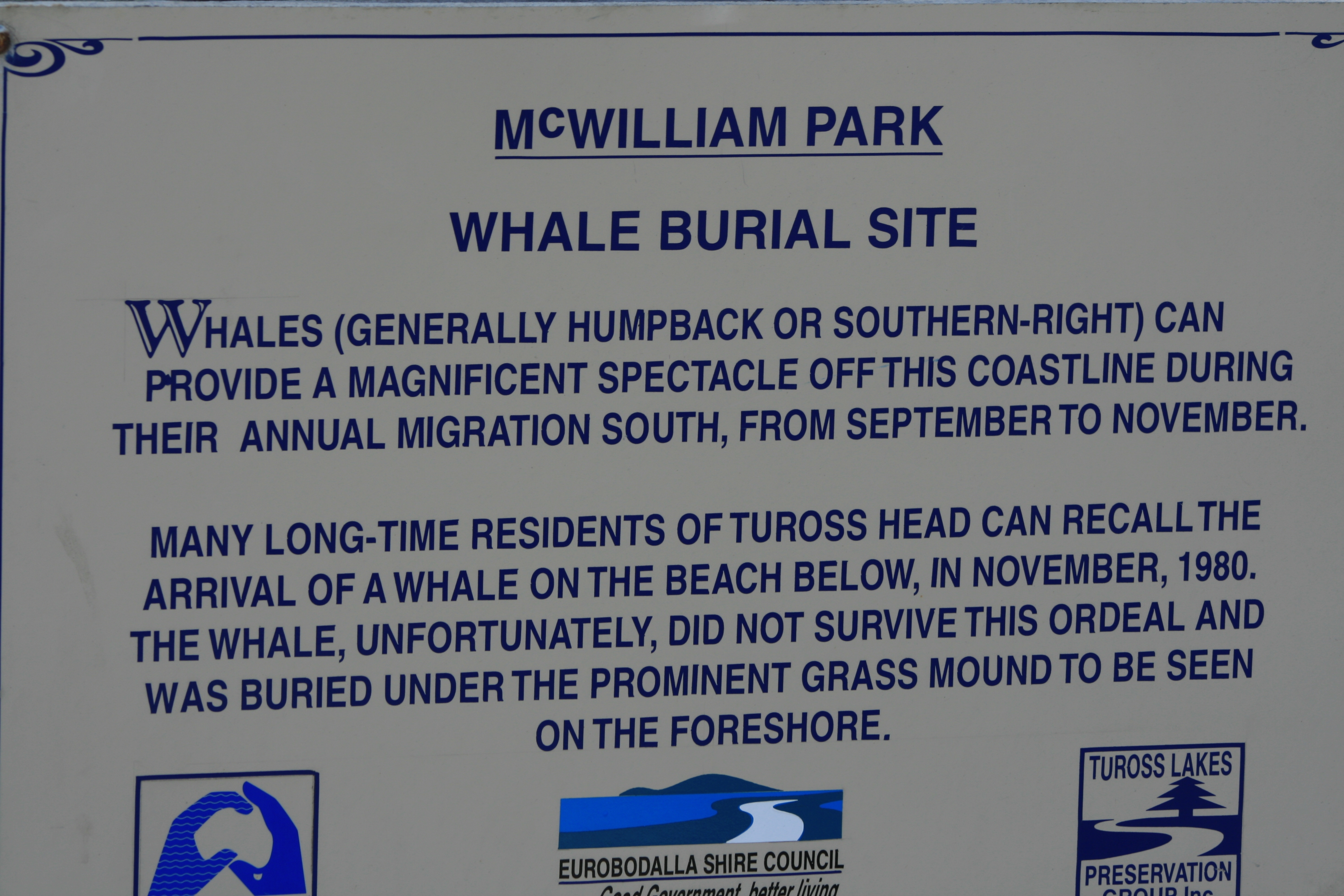 McWilliam Park Whale Burial Site Marker