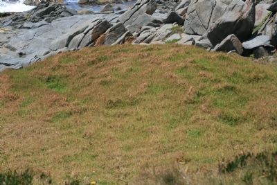 McWilliam Park whale burial site image. Click for full size.