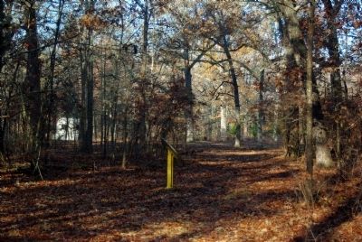 11th Kentucky Infantry Marker. Click for full size. 11th Kentucky Infantry Marker image. Click for full size.