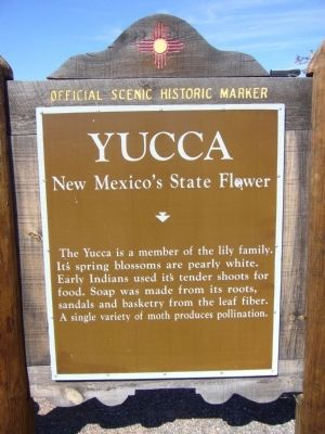 Yucca Marker image. Click for full size.