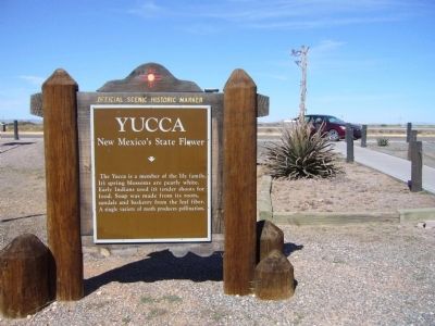 Yucca Marker image. Click for full size.