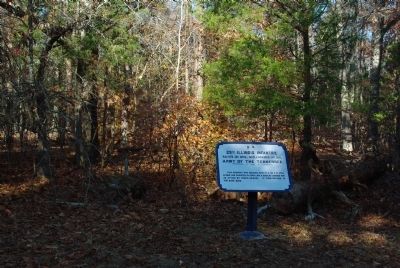 29th Illinois Infantry Marker. Click for full size. 29th Illinois Infantry Marker image. Click for full size.