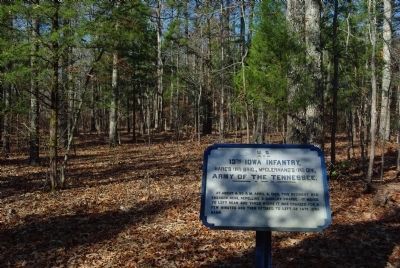 13th Iowa Infantry Marker. Click for full size. 13th Iowa Infantry Marker image. Click for full size.