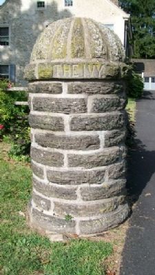 Wall House (The Ivy) Drive Entrance image. Click for full size.