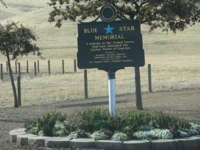 Blue Star Memorial Plaque image. Click for full size.