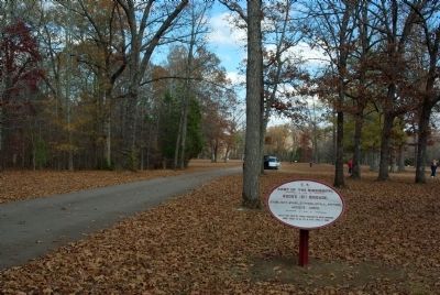 Wood's Brigade Marker image. Click for full size.