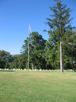 Flagpole in the Cemetery image. Click for full size.