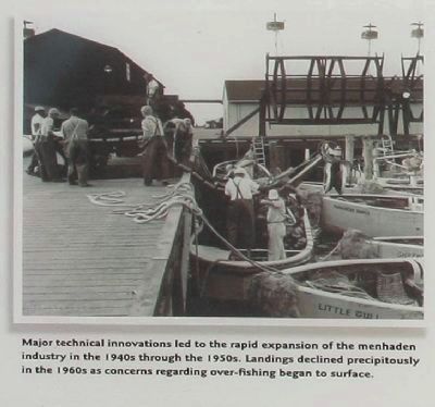 Menhaden Fisheries Marker, lower left picture. Click for full size. Menhaden Fisheries Marker, lower left picture image. Click for full size.