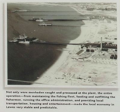 Menhaden Fisheries Marker, lower center picture. Click for full size. Menhaden Fisheries Marker, lower center picture image. Click for full size.
