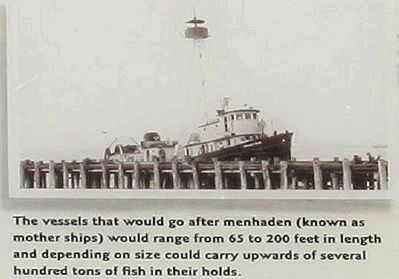 Menhaden Fisheries Marker, picture at right. Click for full size. Menhaden Fisheries Marker, picture at right image. Click for full size.