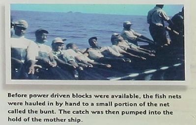 Menhaden Fisheries Marker picture , at right. Click for full size. Menhaden Fisheries Marker picture , at right image. Click for full size.