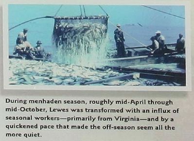 Menhaden Fisheries Marker, picture bottom right. Click for full size. Menhaden Fisheries Marker, picture bottom right image. Click for full size.