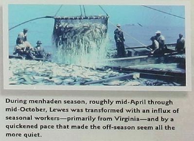 Menhaden Fisheries Marker, picture bottom right image. Click for full size.