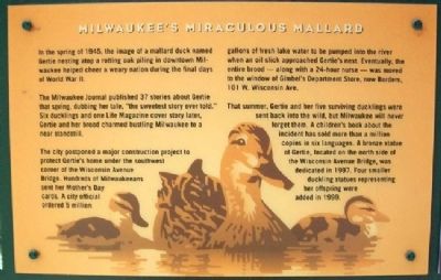 Milwaukee's Miraculous Mallard Marker image. Click for full size.