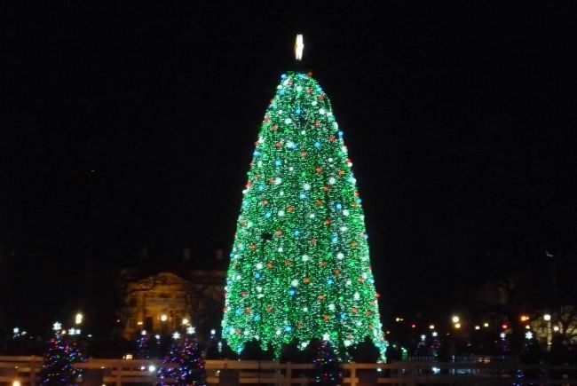 The National Christmas Tree - lighting ceremony, 2010 image. Click for full size.