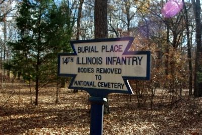 14th Illinois Infantry Marker image. Click for full size.