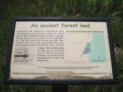 Two Creeks Buried Forest Marker image. Click for full size.