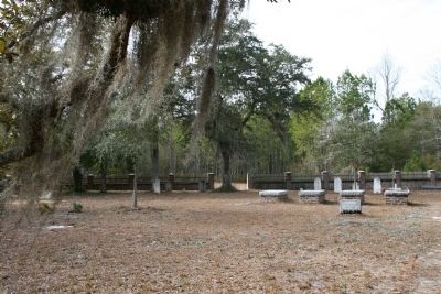 St. James Santee Parish Church Cemetery image. Click for full size.