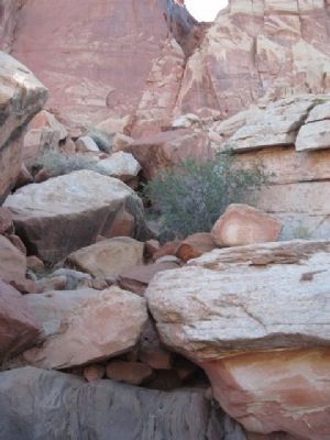 A Sandstone Landscape image. Click for full size.