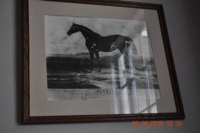 Glencoe (Jackson's Horse) image. Click for full size.