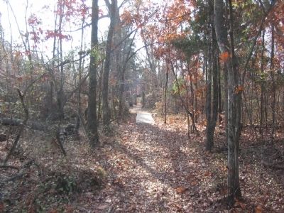 15th Alabama Position. Click for full size. 15th Alabama Position image. Click for full size.
