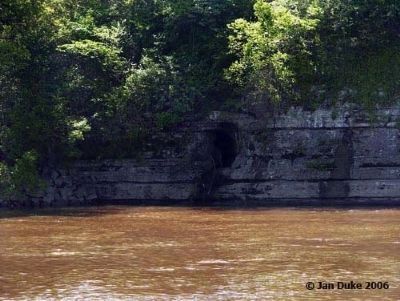 Demonbreun Cave image. Click for full size.