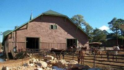 Mules at the Mule Barn image. Click for full size.